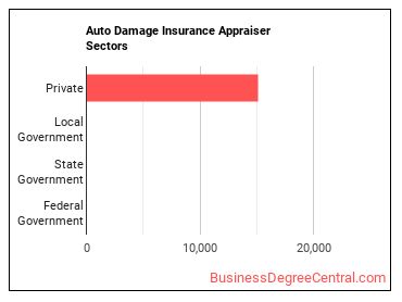 Insurance Appraisers, Auto Damage sectors