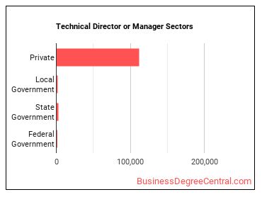 Media Technical Directors/Managers sectors