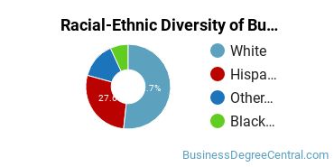 Racial-ethnic diversity of Business Administration & Management majors at Adams State University