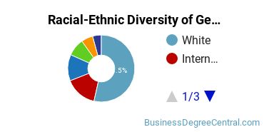 Racial-Ethnic Diversity of General Business Administration and Management Majors at Adelphi University