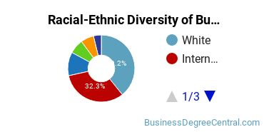 Racial-ethnic diversity of Business Administration & Management majors at Adelphi University