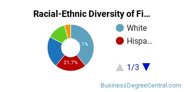 Racial-Ethnic Diversity of Finance Majors at Adelphi University