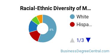 Racial-Ethnic Diversity of Marketing/Marketing Management, General Majors at Adelphi University