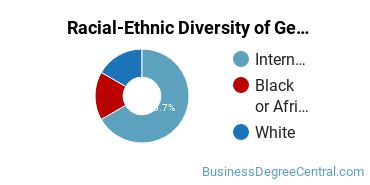 Racial-Ethnic Diversity of General Economics Majors at Agnes Scott College
