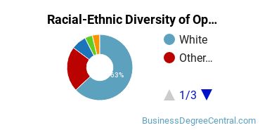 Racial-Ethnic Diversity of Operations Management Majors at Air Force Institute of Technology - Graduate School of Engineering & Management