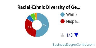 Racial-Ethnic Diversity of General Business/Commerce Majors at Alvin Community College