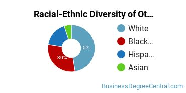 Racial-ethnic diversity of Other Business & Marketing majors at Amberton University