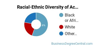 Racial-Ethnic Diversity of Accounting Majors at American InterContinental University - Atlanta