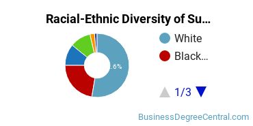 Racial-Ethnic Diversity of Supply Chain Management Majors at American Public University System