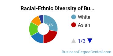 Racial-ethnic diversity of Business Administration & Management majors at Andrews University