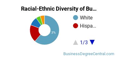Racial-ethnic diversity of Business Administration & Management majors at Angelo State University