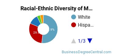 Racial-Ethnic Diversity of Marketing/Marketing Management, General Majors at Angelo State University