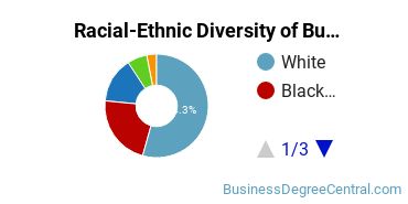 Racial-ethnic diversity of Business Administration & Management majors at Anne Arundel Community College