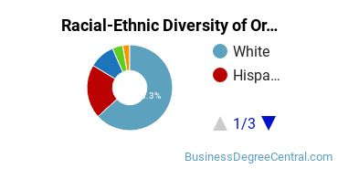 Racial-Ethnic Diversity of Organizational Leadership Majors at Arizona State University - Skysong