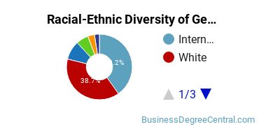 Racial-Ethnic Diversity of General Economics Majors at Arizona State University - Tempe