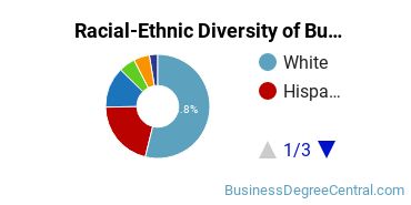 Racial-Ethnic Diversity of Business Management & Marketing Majors at Arizona State University - Tempe