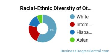 Racial-Ethnic Diversity of Other Management Sciences and Quantitative Methods Majors at Arkansas Tech University