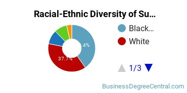 Racial-Ethnic Diversity of Supply Chain Management Majors at Ashford University