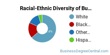 Racial-Ethnic Diversity of Business Economics Majors at Ashford University
