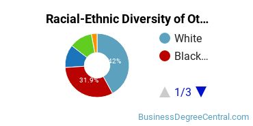 Racial-Ethnic Diversity of Other Marketing Majors at Ashford University