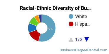 Racial-ethnic diversity of Business Administration & Management majors at Atlantic Cape Community College