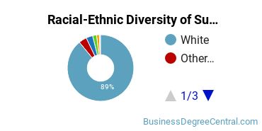 Racial-Ethnic Diversity of Supply Chain Management Majors at Auburn University
