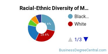 Racial-ethnic diversity of Management Information Systems majors at Augsburg University