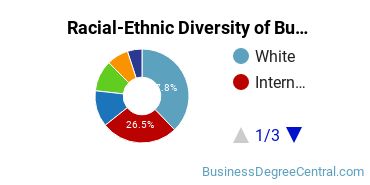 Racial-ethnic diversity of Business Administration & Management majors at Babson College