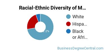 Racial-Ethnic Diversity of Marketing/Marketing Management, General Majors at Baker College