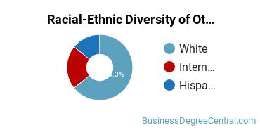 Racial-Ethnic Diversity of Other Economics Majors at Barnard College
