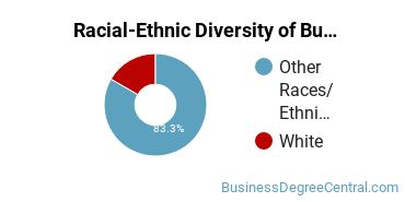 Racial-ethnic diversity of Business Administration & Management majors at Bay Mills Community College