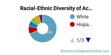 Racial-Ethnic Diversity of Accounting Majors at Baylor University