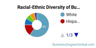 Racial-Ethnic Diversity of Business Economics Majors at Baylor University