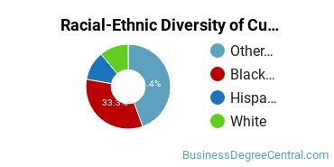 Racial-Ethnic Diversity of Customer Service Management Majors at Bellevue University