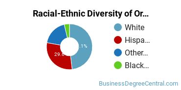 Racial-Ethnic Diversity of Organizational Leadership Majors at Bellevue University