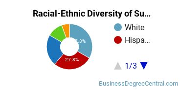 Racial-Ethnic Diversity of Supply Chain Management Majors at Bellevue University