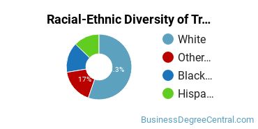 Racial-Ethnic Diversity of Traffic, Customs, and Transportation Clerk/Technician Majors at Bellevue University