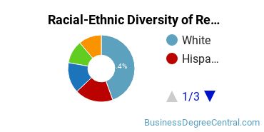Racial-Ethnic Diversity of Retailing and Retail Operations Majors at Bellevue University