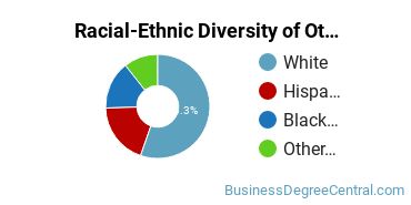 Racial-Ethnic Diversity of Other Human Resources Management and Services Majors at Bellevue University