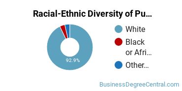 Racial-Ethnic Diversity of Public Relations, Advertising, & Applied Communication Majors at Belmont University