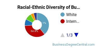 Racial-Ethnic Diversity of Business Economics Majors at Beloit College