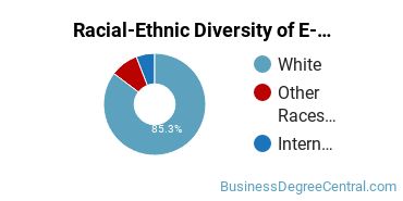 Racial-Ethnic Diversity of E-Commerce Majors at Bemidji State University