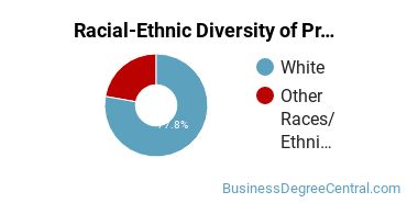 Racial-Ethnic Diversity of Project Management Majors at Bemidji State University