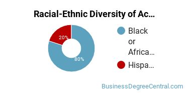 Racial-Ethnic Diversity of Accounting Majors at Benedict College