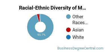 Racial-ethnic diversity of Management Information Systems majors at Benedictine University