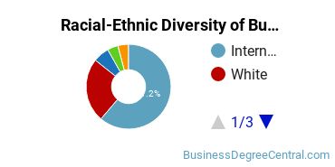 Racial-Ethnic Diversity of Business Statistics Majors at Bentley University