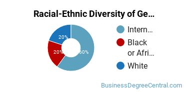 Racial-Ethnic Diversity of General Economics Majors at Berea College