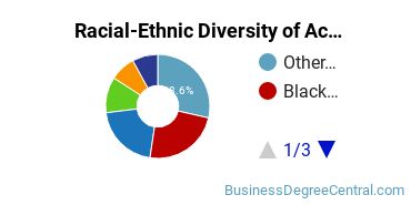 Racial-Ethnic Diversity of Accounting Majors at Berkeley College - New York