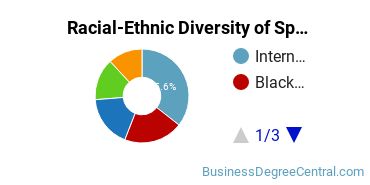 Racial-ethnic diversity of Specialized Sales majors at Berkeley College-New York