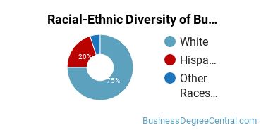 Racial-ethnic diversity of Business Administration & Management majors at Berkshire Community College